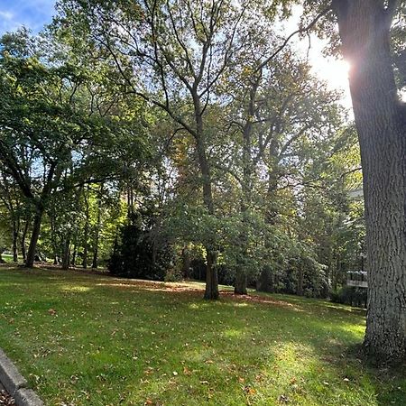 Ferienwohnung Ecrin De Verdure Au Chesnay Et Parking Gratuit Le Chesnay  Exterior foto