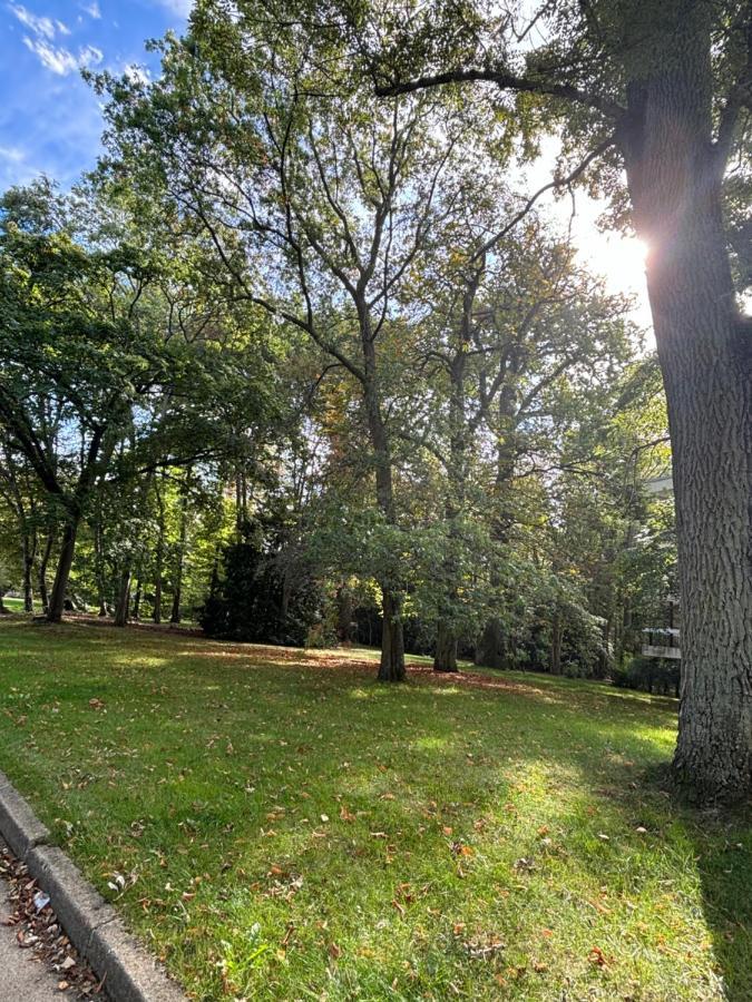 Ferienwohnung Ecrin De Verdure Au Chesnay Et Parking Gratuit Le Chesnay  Exterior foto